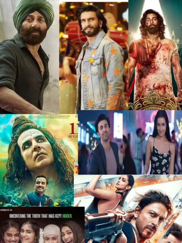 2023 Top 10 Hindi bollywood movies