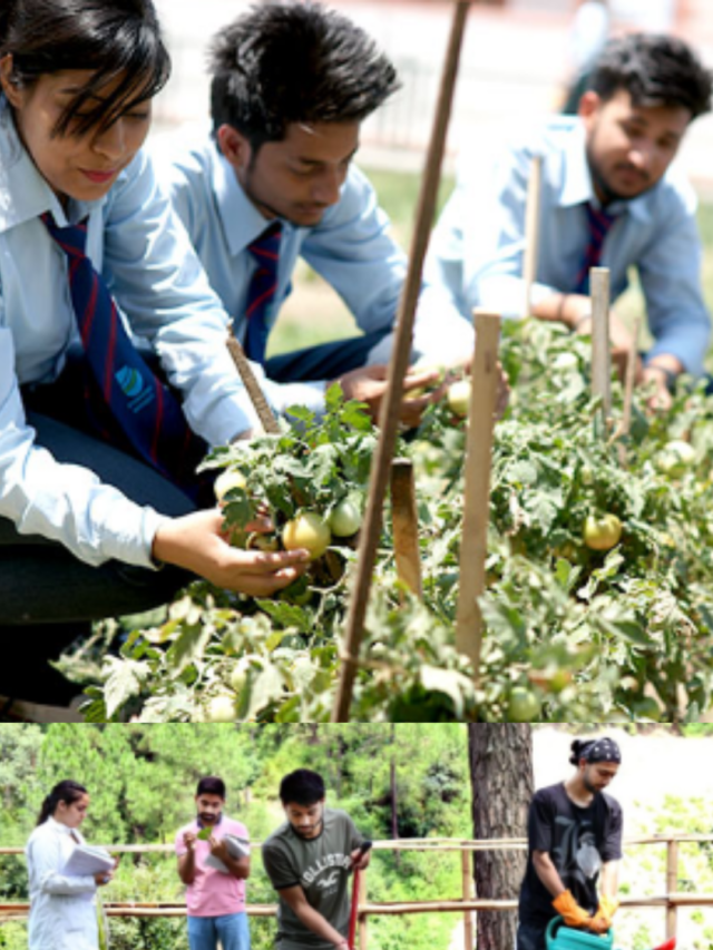 कृषि क्षेत्र में सफल करियर