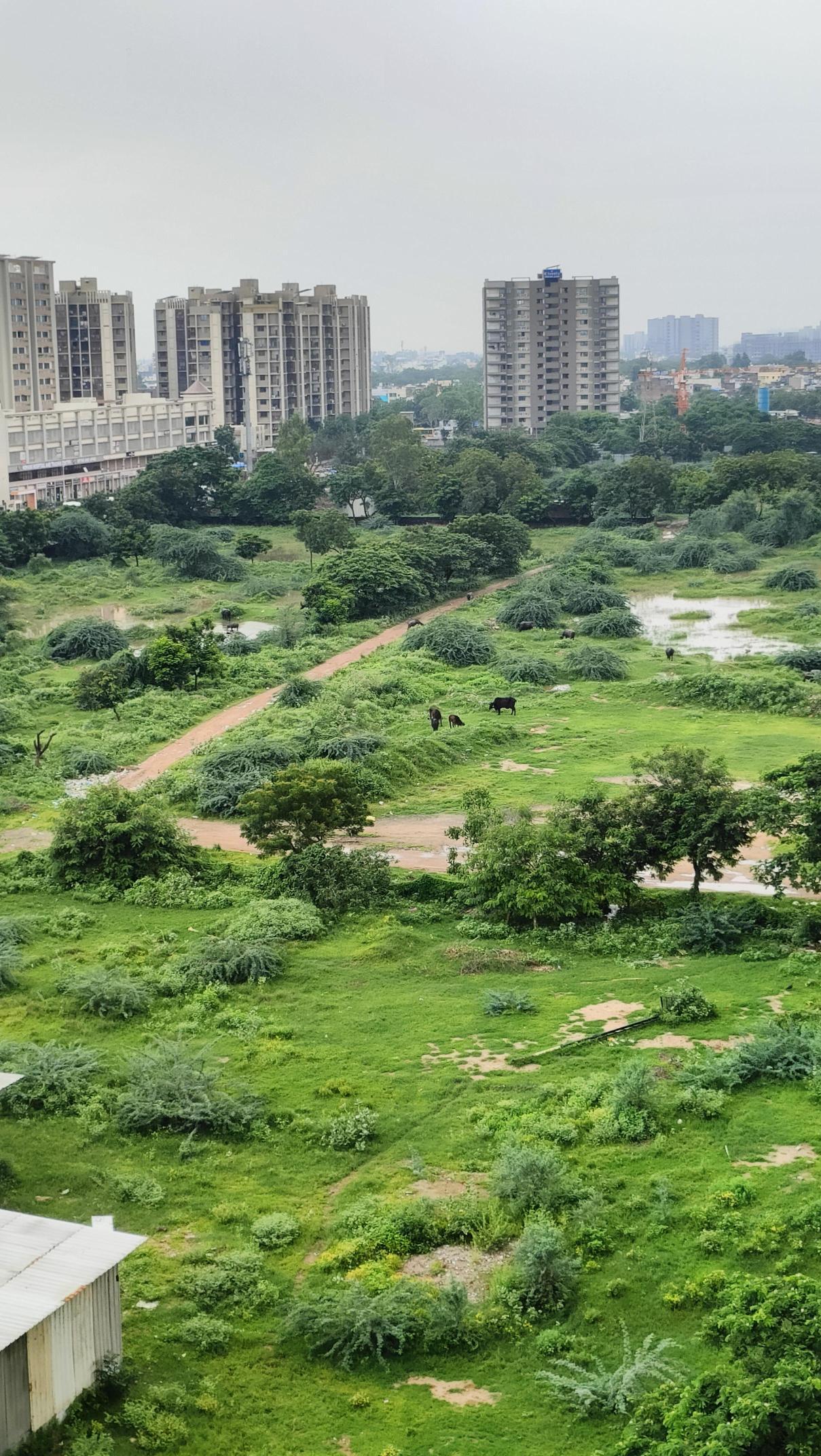 IMD Red Alert: महाराष्ट्र-ओडिशा में मूसलाधार बारिश, 17 राज्यों में अलर्ट जारी IMD Red Alert Monsoon India - Gujarat Ahmedabad rain