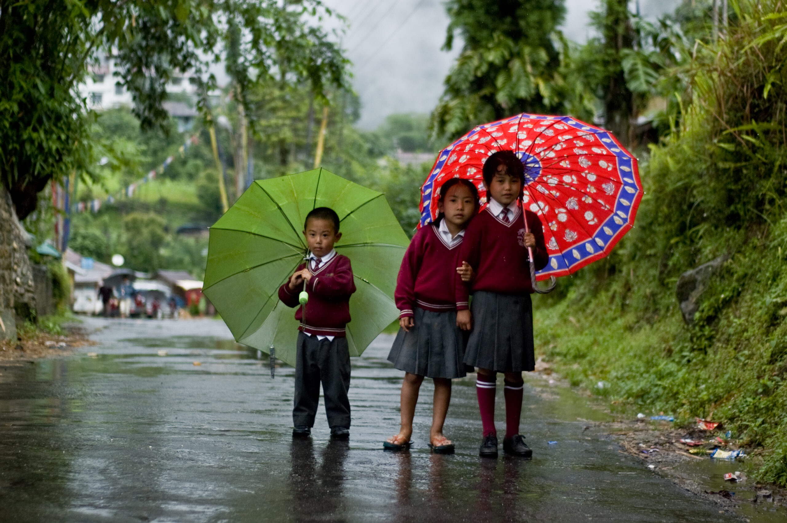IMD Red Alert: महाराष्ट्र-ओडिशा में मूसलाधार बारिश, 17 राज्यों में अलर्ट जारी IMD Red Alert Monsoon India - Himalaya hill states rain