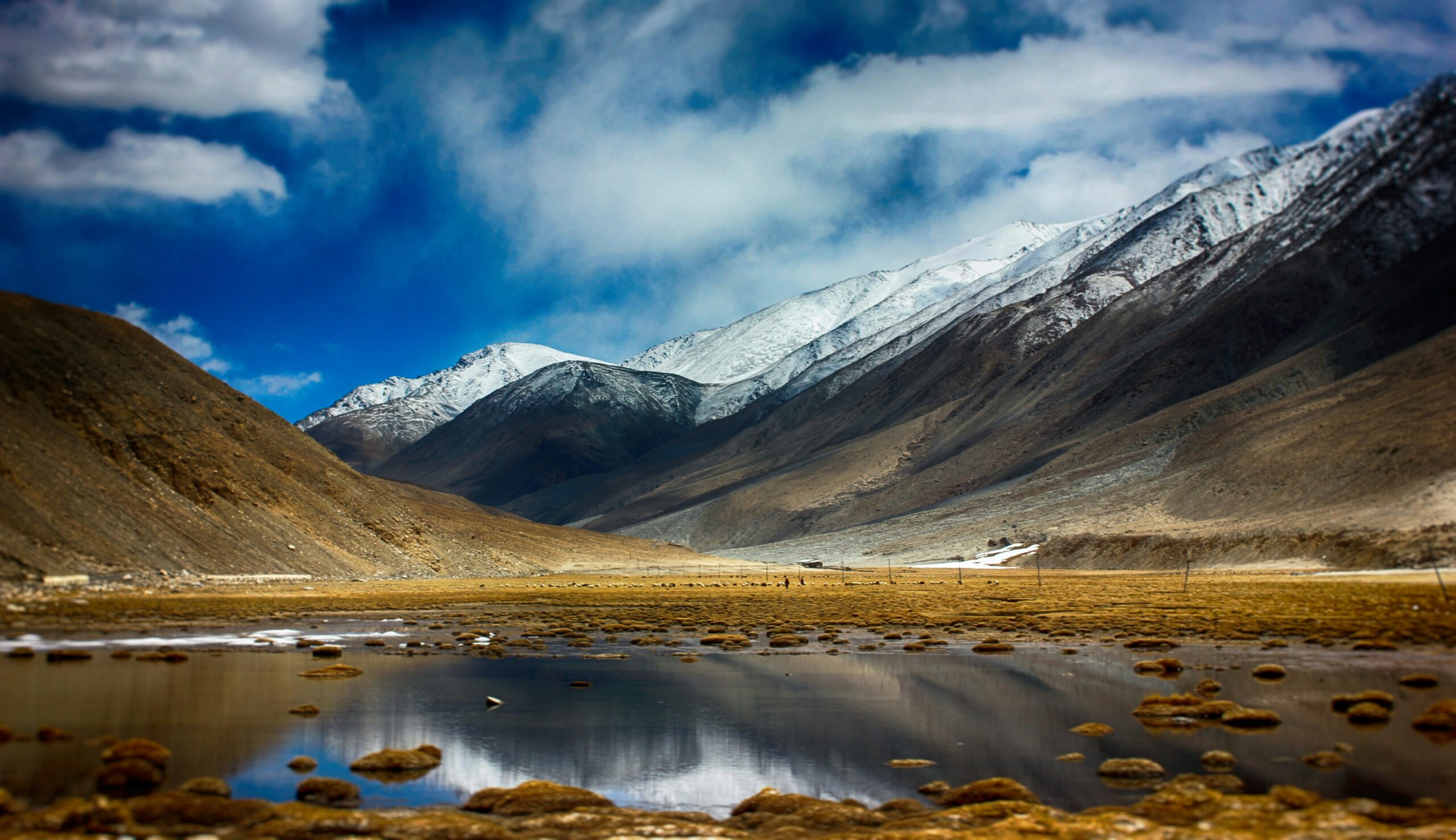 Protests In India 2026: देश में कहां-कहां चल रहे हैं आंदोलन, किसे मिला सरकार से आश्वासन? Ladakh Leh mountains landscape