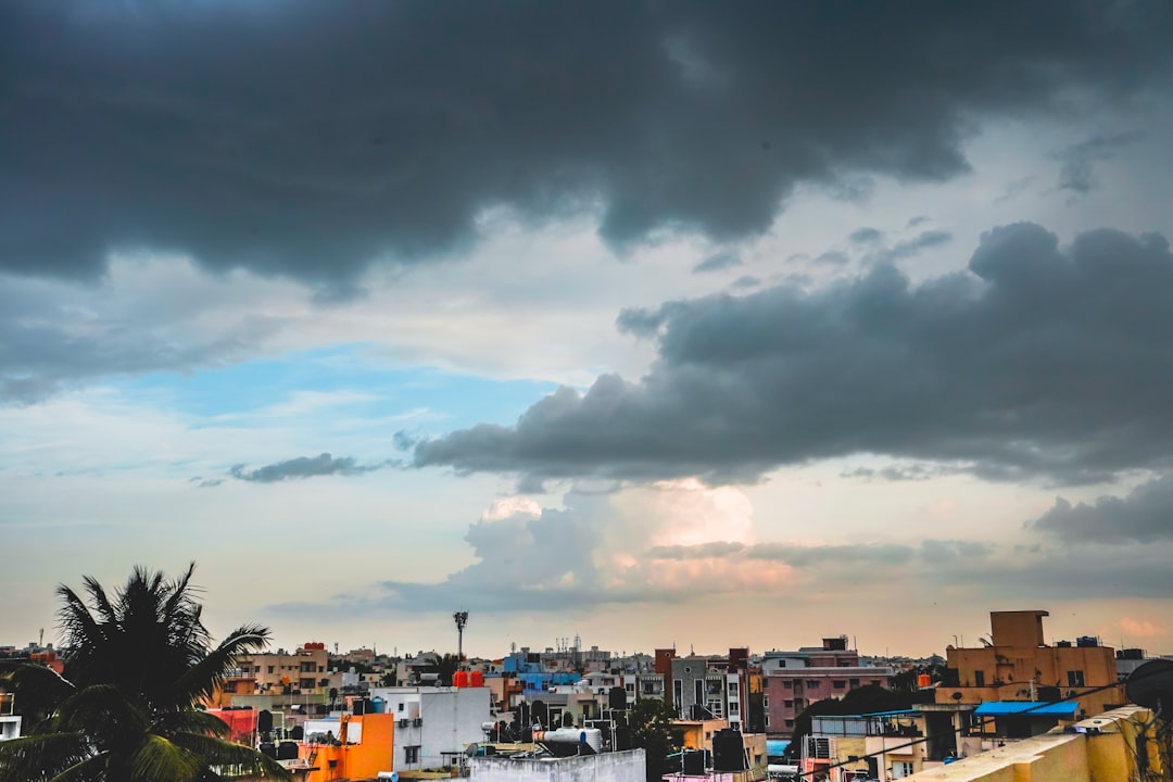 IMD Rain Alert 31 July 2026: मध्य प्रदेश-गुजरात में रेड-ऑरेंज अलर्ट, असम में बाढ़ से 78 मौतें मध्य भारत में मानसून के काले बादल, बारिश का अलर्ट