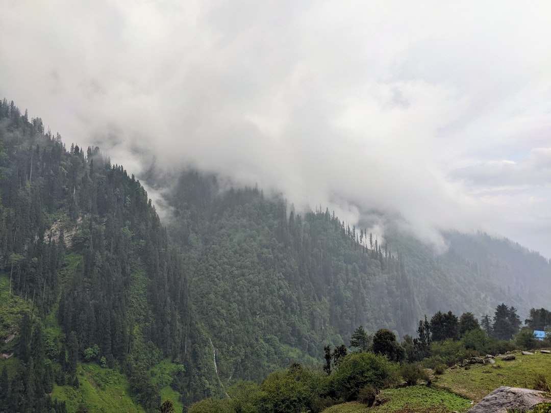 अमरनाथ यात्रा 2026 फिर स्थगित: बारिश और खराब मौसम के चलते पहलगाम-बालटाल दोनों रूट बंद अमरनाथ यात्रा 2026 फिर स्थगित: बारिश और खराब मौसम के चलते पहलगाम-बालटाल दोनों रूट बंद