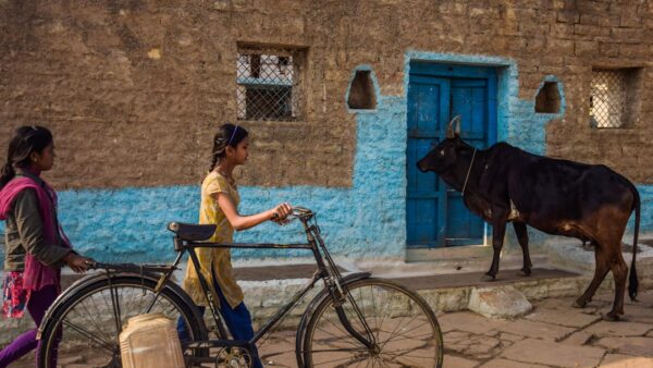 MP Ladli Behna Yojana women scheme registry : CM मोहन यादव ने महिलाओं को दी बड़ी सौगात, जानें किसे कैसे मिलेगा लाभ और पट्टाधारकों को कब मिलेगी मुफ्त रजिस्ट्री